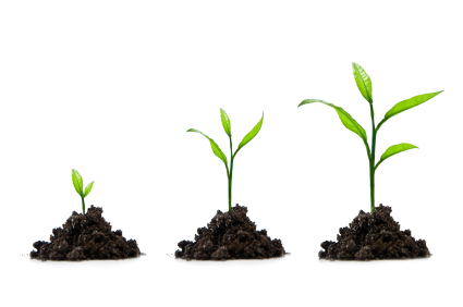 Growth is a benefit of mastery